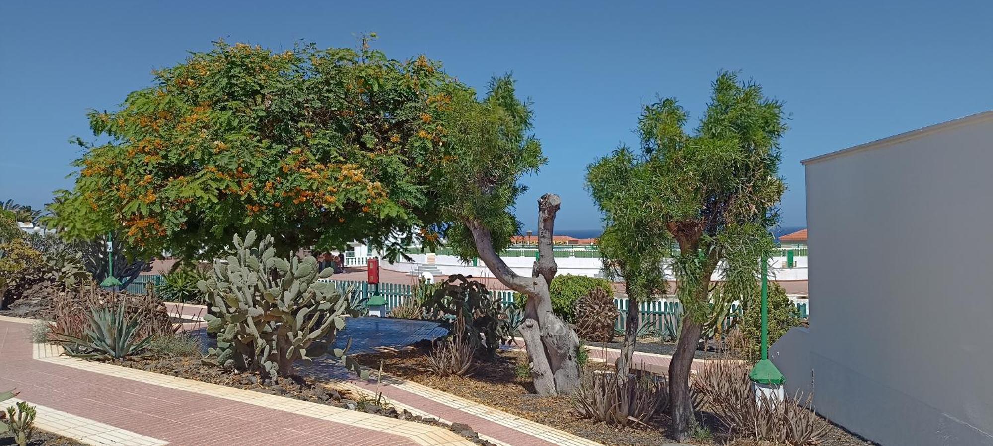 Casa Gioeli Cocosol Costa De Antigua Exterior foto